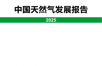 中國天然氣發(fā)展報告（2025）